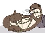  animale:otter bdsm bondage bound female feral mammal mustelid nipples omnipresentcrayon otter paws pussy solo teats whiskers 