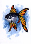  ambiguous_gender dhstein feral fish goldfish marine solo 