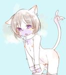  blush brown_hair cat collar cub feline female fur hair mammal navel nipples penetration pinknuss purple_eyes purple_fur pussy simple_background solo vaginal vaginal_penetration white_fur young 