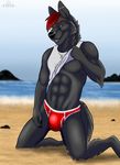  2017 5_fingers abs anthro athletic beach black_fur black_nose blurred_background bulge canine cinta clothing ear_piercing fur green_eyes grin hair kneeling male mammal muscular piercing red_hair revealing_(disambiguation) sand seaside shirt smile solo swimsuit tank_top teasing tight_underwear underwear water wolf 