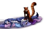  2004 abs ailurid anthro anthro_on_taur arm_tuft athletic balls blue_eyes blue_fur brown_fur butt_tuft canine canine_taur chest_tuft duo eyes_closed female fluffy fluffy_tail full_body fur handjob j-c lying male male/female mammal multicolored_fur naughty_face nude open_mouth penis pillow pornography red_fur red_panda sex signature simple_background sitting smile taur tuft two-handed_masturbation white_background white_fur wolf wolf_taur yellow_sclera 