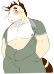  2017 anthro biped blue_eyes blush brown_hair clothed clothing equine eyebrows flying_sweatdrops fur hair hands_in_pockets horse inner_ear_fluff jayteemule jumpsuit looking_away male mammal nervous nipples pink_nipples sheeporwolf short_hair simple_background slightly_chubby solo standing stocky sweat sweatdrop unzipped white_background white_fur 