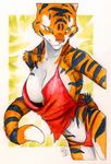  2013 anthro black_fur breasts cleavage clothed clothing dhstein feline female fur green_eyes mammal orange_fur panties solo tiger underwear white_fur 