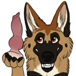  2017 ambiguous_gender brown_eyes canine dildo dog feral german_shepherd grin knotted_dildo mammal paper-wings sex_toy smile 