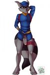  anthro blackbear bottomless clothed clothing flaccid male mammal penis raccoon shirt sly_cooper sly_cooper_(series) solo video_games 