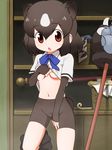  animal_ears basket bear_ears bear_paw_hammer bear_tail bike_shorts bow bowtie breasts brown_bear_(kemono_friends) brown_eyes brown_gloves brown_hair chestnut_mouth clothes_removed commentary_request cowboy_shot elbow_gloves extra_ears eyebrows_visible_through_hair fingerless_gloves gloves hair_between_eyes highres indoors kemono_friends lifted_by_self looking_at_viewer medium_breasts multicolored_hair navel open_mouth sat-c shelf shirt_lift short_hair skirt skirt_around_one_leg solo staff standing standing_on_one_leg tail underboob undressing white_hair 
