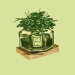  english green green_background jar label nadia_kim original plant see-through 