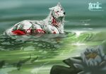  ambiguous_gender black_nose canine day detailed_background feral fur hi_res mammal outside partially_submerged solo standing tatiilange water white_fur wolf 