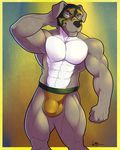  2017 abs abstract_background anthro biceps biped black_nose border brock_english brown_bottomwear brown_clothing brown_underwear bulge canine clothed clothing countershade_torso countershading digital_media_(artwork) dog dwalker eyebrows floppy_ears front_view fur grey_eyes grey_fur hand_behind_head hi_res jockstrap looking_at_viewer male mammal mask multicolored_fur muscular muscular_male outside_border pecs pepsi_(fa) pinup pitbull portrait pose quads signature snout solo standing three-quarter_portrait topless two_tone_fur underwear white_countershading white_fur wrestler wrestling_mask yellow_border 
