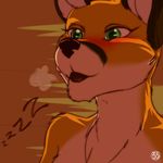  2017 anthro blush canine comic digital_media_(artwork) female fox fur green_eyes lirkov mammal panting red_fox sleeping sound_effects zzz 
