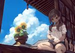  bangs bare_legs barefoot black_bra blue_sky bra brown_eyes brown_hair cellphone cloud covered_navel day denim denim_shorts flower food food_in_mouth holding holding_phone house long_hair looking_at_phone low_twintails mouth_hold nail_polish off-shoulder_shirt open_window original outdoors phone plant popsicle potted_plant red_nails see-through shirt short_shorts shorts sitting sky smartphone solo summer sunflower sunlight suzuno_(bookshelf) sweat toenail_polish tsurime twintails underwear white_shirt window windowsill 