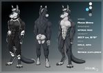  amon_bars kangaroo male mammal marsupial model_sheet sheet_(disambiguation) space werwoz 