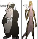  adder animals_of_farthing_wood badger tagme 