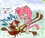  amy_rose rule_63 sally_acorn schistslag sonic_team 