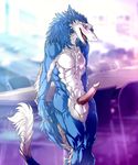  anthro athletic balls blue(sergal) blue_fur blush erection fur gamblefur invalid_background male muscular penis pose red_eyes sergal solo standing tongue 