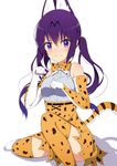  3: absurdres animal_ears bangs bare_shoulders belt blush bow bowtie breasts buttons closed_mouth commentary cosplay elbow_gloves eyebrows_visible_through_hair gloves gochuumon_wa_usagi_desu_ka? hair_between_eyes highres kemono_friends long_hair looking_at_viewer medium_breasts mottsun_(i_40y) paw_pose purple_eyes purple_hair serval_(kemono_friends) serval_(kemono_friends)_(cosplay) serval_ears serval_print serval_tail shadow shirt sidelocks sitting skirt sleeveless sleeveless_shirt solo tail tedeza_rize thighhighs twintails v-shaped_eyebrows very_long_hair wavy_mouth white_background white_shirt zettai_ryouiki 