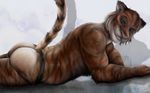  2017 anthro athletic backless_panties blue_eyes clothing feline fur jockstrap killianwalker looking_at_viewer lying male mammal on_front orange_fur panties pink_nose pose raised_tail side_view simple_background smile solo stripes teeth tiger underwear 