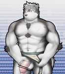  2017 abs anthro balls bandanna black_nose canine censor_bar censored clothed clothing familiar_(pixiv) fur grey_fur humanoid_penis male mammal navel nipples pattern_background penis simple_background solo standing topless uncut underwear white_fur wolf yellow_eyes 