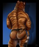  2017 anthro back_muscles backless_panties backsack balls blue_background butt clothing faceless_male feline fur holding_tail killianwalker male mammal mostly_nude muscular muscular_male orange_fur panties pinup pose simple_background solo standing stripes tiger underwear white_fur 