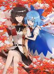  autumn_leaves black_hair blue_eyes blue_hair branch cirno colored_eyelashes crossed_legs dress hair_ribbon hand_on_another's_shoulder hat highres ice ice_wings minakata_sunao multiple_girls neck_ribbon notebook one_eye_closed open_mouth pom_pom_(clothes) red_eyes ribbon shameimaru_aya short_hair sitting skirt smile tokin_hat touhou tree wings 