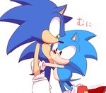  2017 anthro black_nose blue_fur clothing duo fur gloves hedgehog male mammal simple_background sonic_(series) sonic_the_hedgehog square_crossover tk_s623 toony video_games 