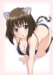  :o all_fours alternative_girls animal_ears asahina_nono bare_arms bikini bow breasts brown_hair cat_ears cat_tail guchiaki highres large_breasts looking_at_viewer purple_eyes short_hair solo swimsuit tail tail_bow 