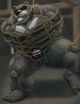  2017 anthro balls bear blush bound cum dendoro male mammal musclegut penis rope rope_bondage rope_harness solo 