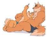  2017 abs anthro biceps black_nose blue_eyes brown_fur canine chest_tuft claws clothed clothing digital_media_(artwork) dog duo fur inner_ear_fluff male mammal muscular muscular_male otake pecs phone shorts side_view simple_background sitting smile takemoto takemoto_arashi tan_fur tender topless tuft white_background 