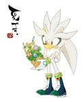 2017 anthro big_head black_nose flower hedgehog male mammal plant silver_the_hedgehog solo sonic_(series) srfkkk toony video_games 