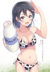  1girl animal_print bangs bikini black_hair bottle breasts cleavage commentary_request cow_print cow_print_bikini english_text grass heart looking_at_viewer love_live! love_live!_sunshine!! love_live!_sunshine!!_the_school_idol_movie_over_the_rainbow medium_breasts medium_hair midriff milk milk_bottle navel purple_hair salute solo swimsuit translation_request watanabe_tsuki yamamoto_chavez 