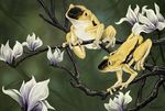  ambiguous_gender amphibian duo feral flower frog magnolia plant tree ursula_vernon yellow_eyes 