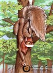  2007 anthro brown_fur female fur green_eyes hair ksharra mammal nude outside red_hair rodent solo squirrel tree white_fur wood 