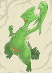  arm_up beige_background black_eyes claws collarbone feet from_above full_body green_sclera hand_up jpeg_artifacts karasumareko legs_apart looking_up no_humans pokemon pokemon_(creature) pokemon_rse sceptile simple_background solo standing tail thorns 
