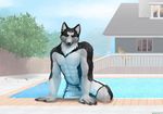  5_fingers anthro black_fur black_nose blue_eyes canine clothed clothing day detailed_background dog fur husky male mammal outside sky solo topless water wet xiongfeng95 xngfng95 