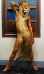  edit feline humanoid lion mammal nude penis photo_manipulation photomorph 