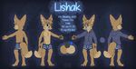  2017 blue_eyes brown_fur canine clothed clothing dusttrichous fennec fox fur hi_res lishak mammal model_sheet underwear 