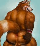  2017 5_fingers aery anthro anus back_muscles backsack balls biceps biped black_claws black_nose brown_fur butt chumbasket claws clothed clothing digital_media_(artwork) eyebrows fluffy fluffy_tail fur green_eyes grin half-length_portrait hand_on_butt hi_res jockstrap looking_at_viewer looking_back male mammal multicolored_fur multicolored_tail muscular muscular_male orange_balls orange_fur orange_tail perineum pink_anus portrait presenting presenting_anus rear_view red_panda ringed_tail signature simple_background smile snout solo standing teeth topless two_tone_tail underwear white_eyebrows white_fur white_tail wristband 