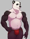  2016 anthro bear belly biceps black_claws black_fur black_markings black_nose blue_eyes bulge claws clothed clothing digital_media_(artwork) facial_markings front_view fur grey_background hi_res jockstrap knuxlight looking_at_viewer male mammal markings multicolored_fur musclegut muscular muscular_male navel open_mouth panda paul_renaud pecs pepsi_(fa) portrait red_bottomwear red_clothing red_underwear simple_background solo standing teeth three-quarter_portrait topless two_tone_fur underwear white_belly white_fur 