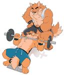 2017 abs anthro bench_press biceps big_muscles black_nose blue_eyes canine chest_tuft claws clothed clothing dog duo exercise eye_contact fur male mammal muscular muscular_male otake pecs shorts simple_background sweat sweatband takemoto takemoto_arashi tan_fur topless towel tuft weight_bench weightlifting white_background workout 
