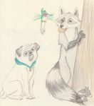  avian bird canine disney dog feral flit humming_bird male mammal meeko percy pocahontas pug raccoon yenza 