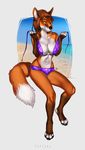  2016 anthro beach bedroom_eyes big_breasts bikini biped black_nose breasts brown_fur brown_hair canine cleavage clothed clothing digital_media_(artwork) digital_painting_(artwork) dipstick_tail eyelashes female fingerless_(marking) fluffy fluffy_tail fox full-length_portrait fur furlana gloves_(marking) grey_background hair half-closed_eyes hi_res inner_ear_fluff looking_at_viewer mammal markings multicolored_fur multicolored_tail navel orange_fur orange_tail pinup portrait pose purple_clothing sand sea seaside seductive short_hair simple_background sitting skimpy slim small_waist smile socks_(marking) solo suspended_in_midair swimsuit teasing toeless_(marking) two_tone_tail undressing voluptuous water white_fur white_tail yellow_eyes 