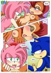  amy_rose palcomix sally_acorn sega sonic_team sonic_the_hedgehog 