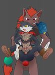  crossover klonoa knox nintendo pokemon zoroark zorua 