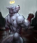  2017 5_fingers after_battle anthro big_muscles blood_on_arm blood_on_hand blood_on_mouth bone butt canine claws crown digital_media_(artwork) ears_down fangs fur gore hi_res king male mammal mono_g multicolored_fur muscular muscular_male outside raining red_eyes royalty scar solo standing two_tone_fur white_fur wolf wounded 