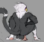  anthro avian ball_hair balls bird crouching eagle erection infernal-beggar knot male muscular muscular_male pubes sketch solo 