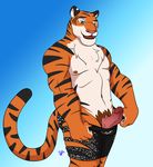  anthro biceps clothed clothing disney erection feline fur green_eyes hi_res humanoid_penis male mammal muscular nipples open_mouth pecs penis pink_nose shorts smile solo standing stripes stripper_tiger_(zootopia) thebrigeedakinks_(artist) topless zootopia zootopia_shorts 