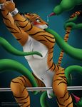  bdsm blush bondage bound feline male male/male mammal nude penis sevenarms simple_background solo stripes tentacles tiger 