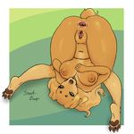  2017 5_fingers anthro anus ass_up belly big_breasts big_thighs biped border breasts brown_body brown_claws brown_hair brown_nipples brown_nose brown_pawpads brown_tail butt canine claws digital_drawing_(artwork) digital_media_(artwork) dog dogmom female fluffy fluffy_tail full-length_portrait gaping gaping_anus green_background hair hand_on_breast hanging_breasts hi_res high-angle_view hindpaw humanoid_hands legs_behind_head legs_up long_hair looking_at_viewer looking_up lying mammal navel nipples nude on_back outside_border pawpads paws pink_anus pink_pussy plantigrade portrait presenting presenting_anus presenting_hindquarters puffy_nipples pussy saluki signature simple_background slightly_chubby snootermelon solo toe_claws upside_down white_border yellow_eyes 