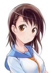  brown_eyes brown_hair collarbone eyebrows_visible_through_hair long_hair looking_at_viewer nannacy7 necktie nisekoi onodera_kosaki orange_neckwear shirt simple_background smile solo upper_body white_background white_shirt 