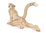  anthro cheetah digitigrade eyes_closed feline fur male mammal nude oouna open_mouth solo spots spotted_fur stretching 